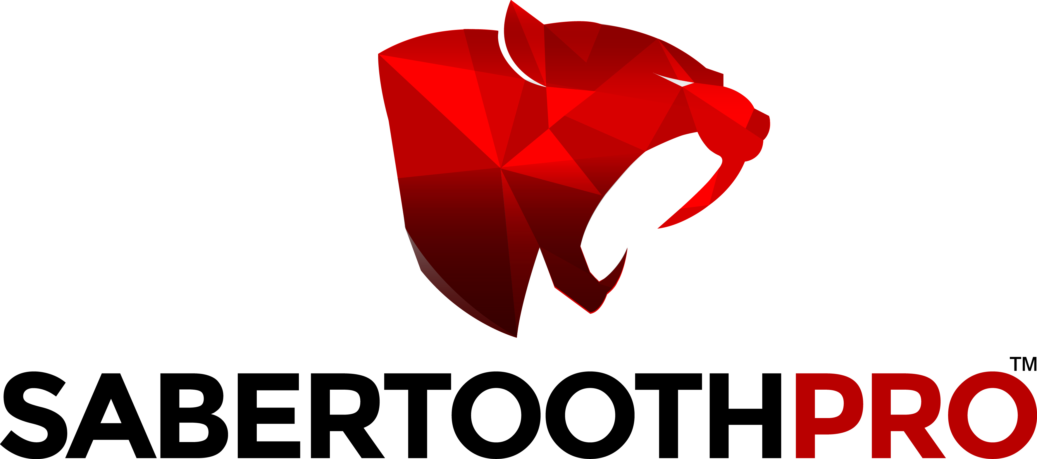Sabertooth Tech Group LLC logo